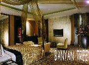 Banyan Tree
點小圖可看原圖